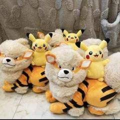 2025年最新】ポケモンセンターオキナワ限定の人気アイテム