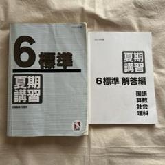 【美品】日能研 小6応用　夏期講習 国語/算数/理科/社会 2024 日能研 小6 標準 春期/夏期講習 国語/算数/理科/社会 2024 計2冊