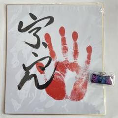 真作 大相撲 手形 サイン 『 和 』 貴ノ花 旭國 輪島 北の海 扁額 書 肉筆 額装 紙本 絹本 在銘 色紙 貴乃花 Yahoo!オークション -「貴乃花 手形」の落札相場・落札価格