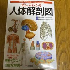 ぜんぶわかる人体解剖図 - メルカリ