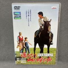 遥かなる山の呼び声　DVD