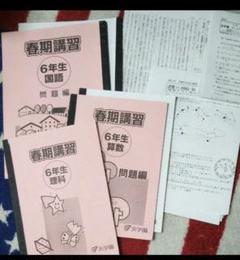 浜学園 小6 春期講座 セット