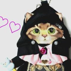 コヤンイサムチョン♥️パステルカラーがおしゃれなぬいぐるみを持つネコちゃん達 2025年最新】コヤンイサムチョンの人気アイテム - メルカリ