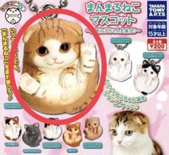 ミニチュア❤富士山とまんまるねこさん 和紙人形 『かわいい黒猫さん』 ミニチュアドール その他置物