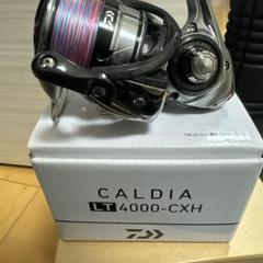 2025年最新】カルディア 4000cxhの人気アイテム - メルカリ