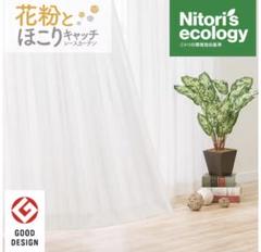 ニトリレースカーテン(キャッチCソニック 100X176X2枚