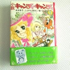 キャンディキャンディ☆帯あり☆小説☆1巻☆講談社☆水木杏子