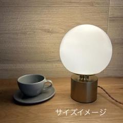 ライト・PanasonicLED交換用電球付