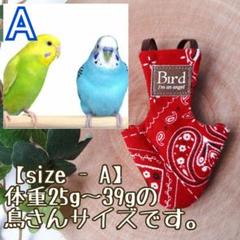 赤ペイズリー エスニック風 バードスーツ size-A(25~39g)
