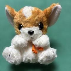 ジョイフルメイト ぬいぐるみ 犬 レア ジョイフルメイト ぬいぐるみ マスコット 犬 チワワ たけのこ
