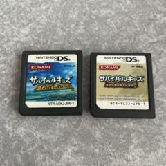 DS サバイバルキッズ LOST in BLUE 小さな島の大きな秘密　任天堂