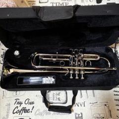 Amazon.co.jp: コルネット JYCO-E100G 金音楽器 D : 楽器・音響機器