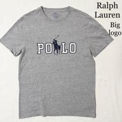 POLO RALPH LAUREN ラルフローレン ビッグロゴ Tシャツ M
