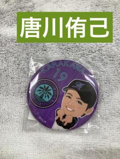 千葉ロッテマリーンズ 唐川選手 ガチャガチャ Amazon.co.jp: 2024 千葉 ロッテ マリーンズ 唐川侑己 : Toys