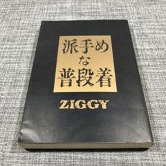 派手めな普段着 ZIGGY