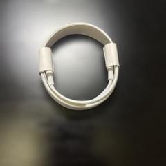 apple 純正 充電ケーブル Type-C→lightning