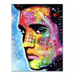 エルビス・プレスリー/LP ジャケット ポスター 額装/Elvis