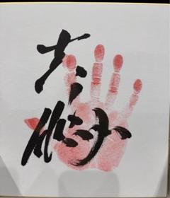 2025年最新】北青鵬の人気アイテム - メルカリ