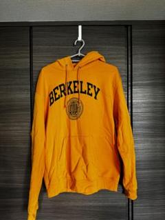 UC Berkeley チャンピオン フーディ（Mサイズ）