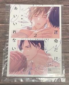 永条エイ「運命だけどあいいれない 2」 アニメイト特典20P小冊子