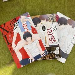 愛しのXLサイズ 2巻セット