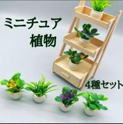 ミニチュア　植物　観葉植物　インテリア　ドールハウス　装飾　かわいい　オシャレ