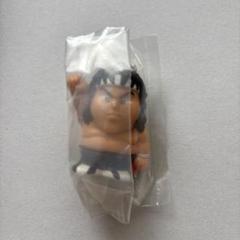 2025年最新】橋本真也、の人気アイテム - メルカリ