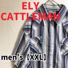 Y2【ELY CATTLEMAN】ストライプ半袖シャツ【XXL】ブルー