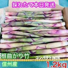 根曲がり竹　専用品です Amazon.co.jp: 天然山菜根曲がり竹（ネマガリダケ・細竹