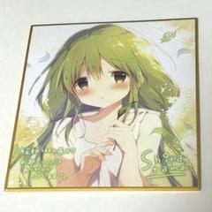 しらたまこ しらたま ミニ色紙 絵師100 絵師100人展 07 しらたま ミニ色紙 - メルカリ