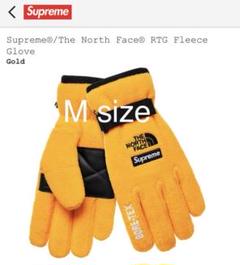 20 ss Supreme × THE NORTH FACE GTX glove