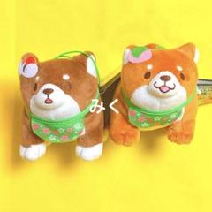 忠犬もちしば　花よりスイーツスクッとマスコット　2種セット