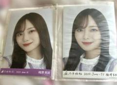 乃木坂46 - 【直筆レア】乃木坂46梅澤美波 「ジコチューで行こう！」選抜Ver 2025年最新】梅澤美波 直筆の人気アイテム - メルカリ