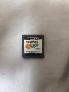 DSソフト