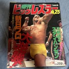 レスラー名鑑 Best fighters ビッグレスラー 新年創刊号付録 Yahoo!オークション - 【付録のみ】レスラー名鑑 (ビッグ