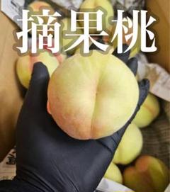 2025年最新】カリカリ桃の人気アイテム - メルカリ