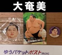 大相撲 ★ 大奄美 ★ 非売品力士缶バッジ＆ ヘアピン & 2025大相撲カード