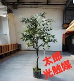 光触媒　人工観葉植物　フェイクグリーン　イタリアンベンジャミン13070のサムネイル