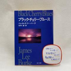 希少❗貴重❗初版❗ジークンドーへの道 & ブルース・リー大全 2書籍 セット 希少❗貴重❗初版❗ジークンドーへの道 & ブルース・リー大全 2