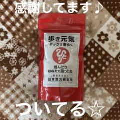 Amazon.co.jp: 銀座まるかん 歩き元気ギックリ楽らく（大） 240g