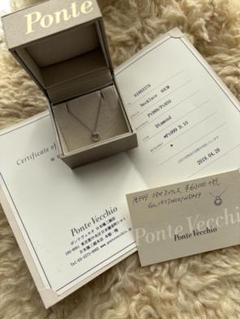 Ponte Vecchio ネックレス40cm Pt999/850 D.10のサムネイル