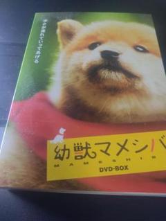 幻獣マメシバ　DVD-BOX