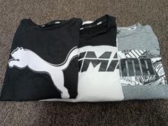 PUMA キッズTシャツ140cm