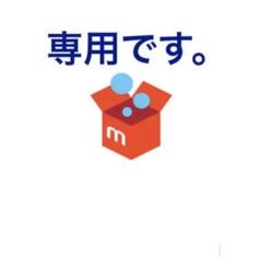 オールスター2025 中日ドラゴンズ藤嶋健人選手直筆サイン記念球