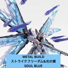 2025年最新】ストライクフリーダムガンダム SOUL BLUE Verの人気