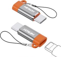 変換 2個セット Light-ning メス Type-C オス 6A グレー