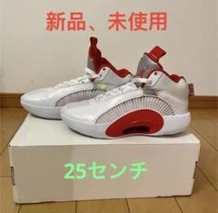 NIKE、jodan 35 PF、25センチ