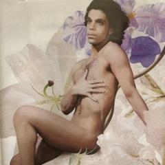 送料無料　Prince Lovesexy