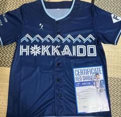 【未使用品】日本ハムWELOVEHOKKAIDO 配布ユニ 　フリーサイズ