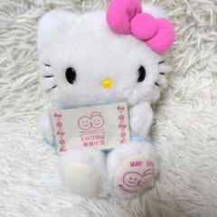 看護の日　サンリオ　ハローキティ　ナースキティ　ぬいぐるみ